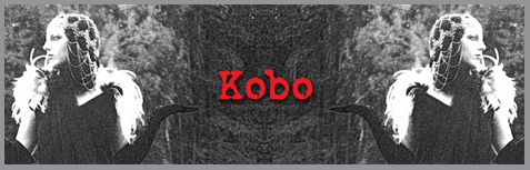 Kobo link
